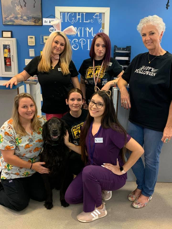 Highlands Animal Hospital - Veterinarian in Sebastian, FL US